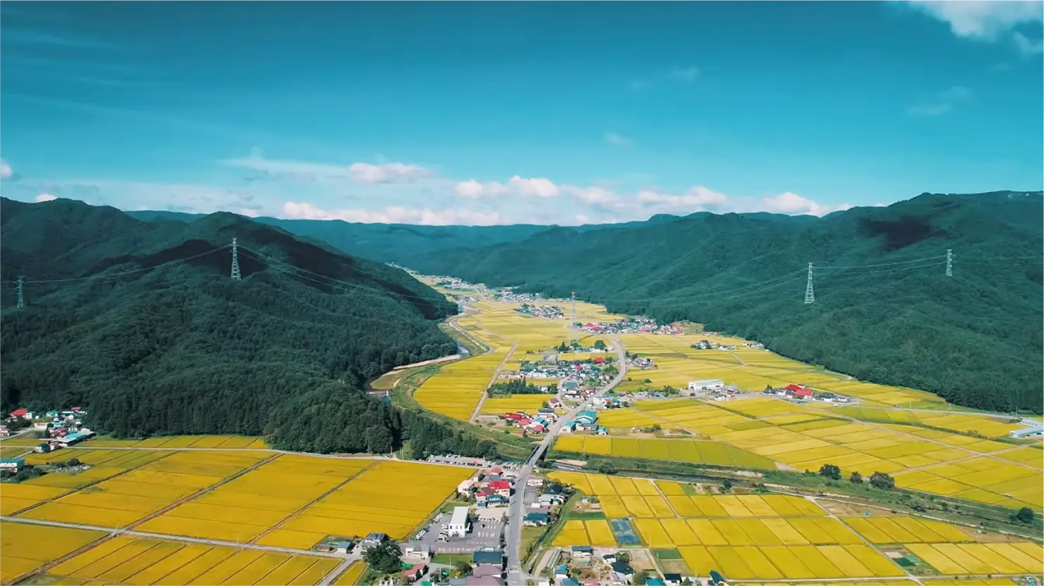 緑豊かな山あいを通る道路と集落の空撮風景